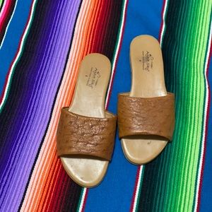 AgaveSky Ostrich Slides